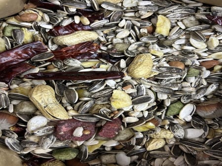 PET CUP بيت كوب مشكل اكل الببغاء كاسكو امازوني دره كوكاتو اكل طيور