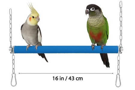مجثم و مبرد رملي للطيور تعليق وربط مجثم ببغاوات متوسطة كنيور كروان روز