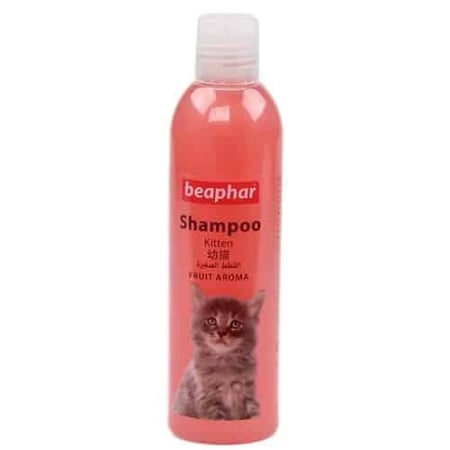 بيفار شامبو القطط الصغيرة Beaphar Shampoo - العناية بالقطط الصغيرة