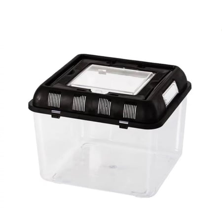 حضانة بلاستك صندوق شفاف لتربية الطيور والسلاحف - متجر قطتي الجميلة