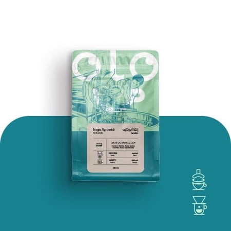 انقا ابونتيه عسلية - بيكولو | Inga Aponte