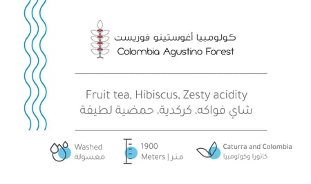 كولومبيا اغوستينو فوريست 227 جرام