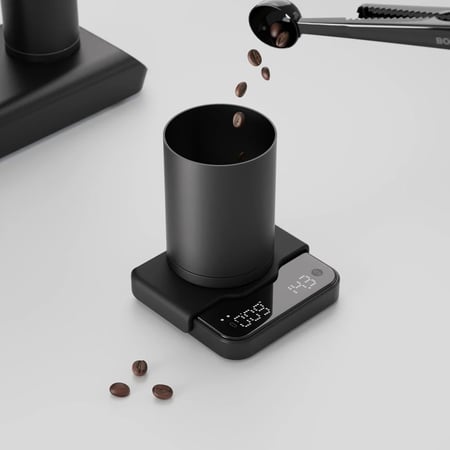 BOOKOO Themis Mini Scale