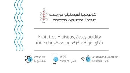 اغوستينو 907g