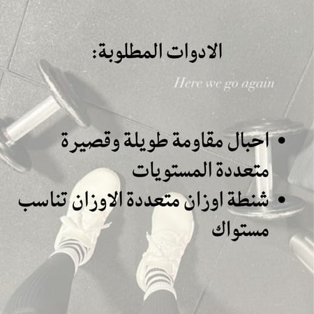 باقة بناء عضلة الارداف في المنزل