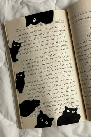 كتاب  كافكا على الشاطئ