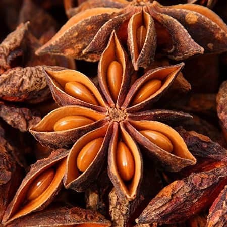 أنيس - يانسون