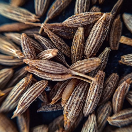 أنيس - يانسون