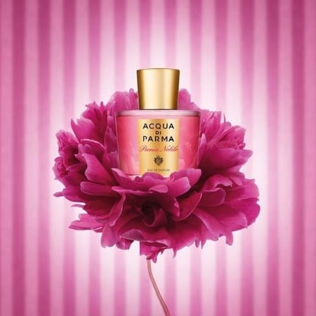 أكوا دي بارما بيونيا نوبيل او دو برفيوم