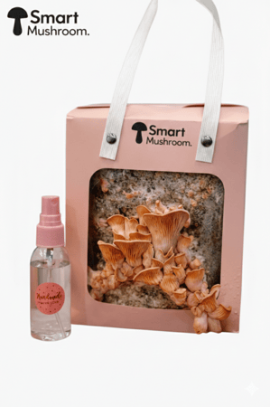 علبة زراعة فطر المحار الوردي الفورية