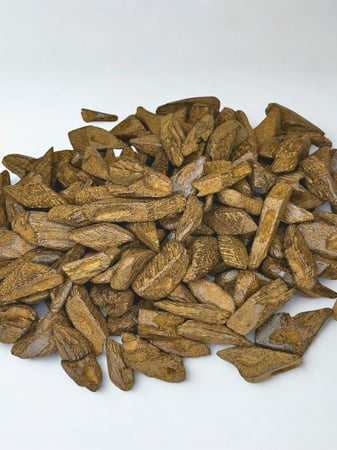 مروكى ترابي بيور