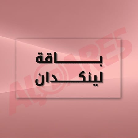 باقة لينكدان الكفاءات ( 8 - 11  سنة)