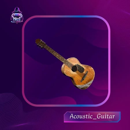 Acoustic Guitar