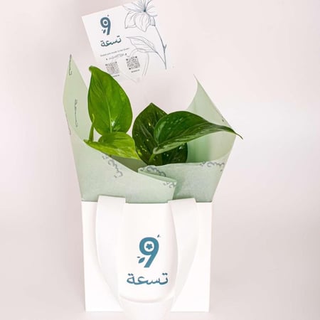 بوتس