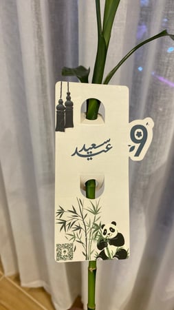 توزيعات بامبو