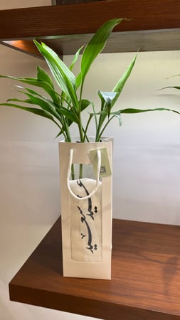 بامبو العيد