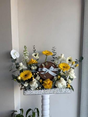 ستاند دوار الشمس مع شوكولاتة هانوفريان