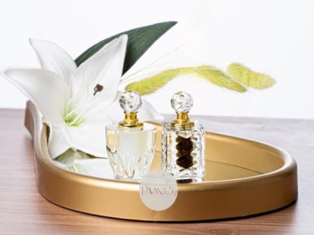 The Lily Gift هدية الليلي