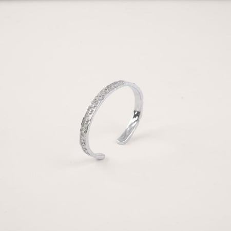 سوار مملكة ديدان