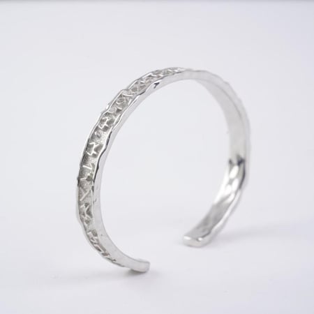 سوار مملكة ديدان