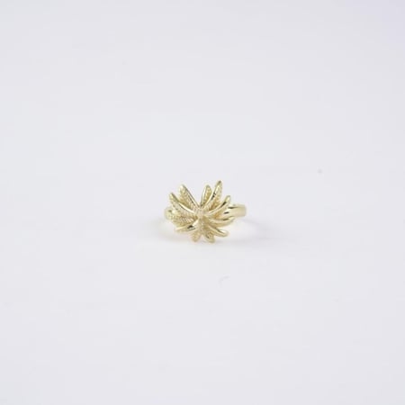 خاتم لينا | ذهب