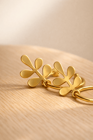 أقراط المورينجا الدائرية