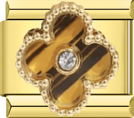 تشارمز ذهبي فان كليف ذهبي