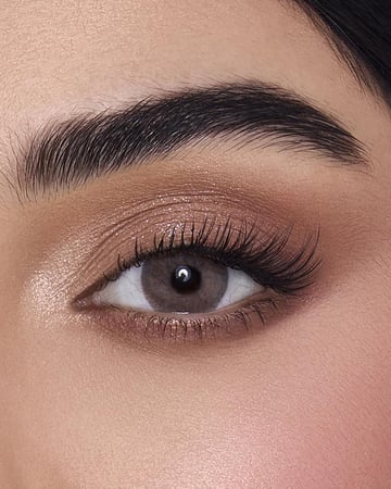 عدسات اديكت تيرا - Addict Terra