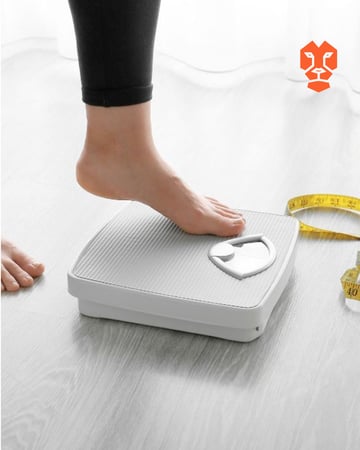 متابعة شهرية - Fit & Track