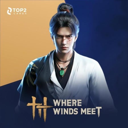 شحن Where Winds Meet بالايدي - 300 Echo Beads