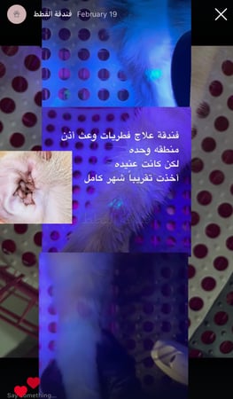 خدمة فندقه علاجيه فطريات