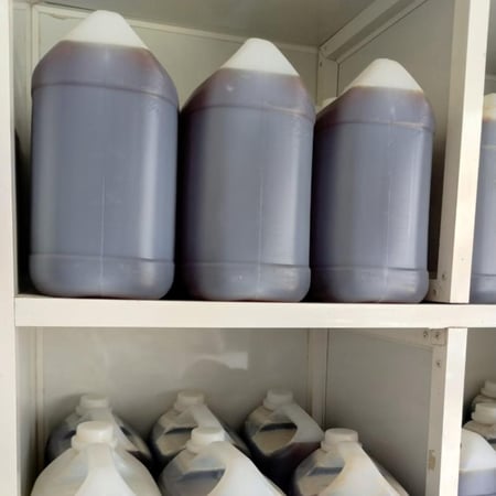 كيلو عسل الشوكة درجة اولى طبيعي صافي من غير اضافات بلدي