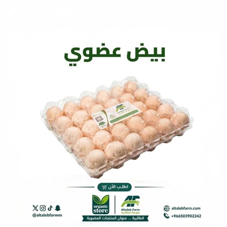 بيض بلدي مرعى حر عضوي (30 حبة)