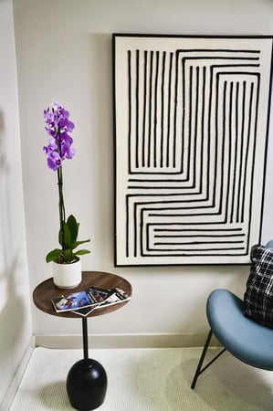 نبتة اوركيد فوشي