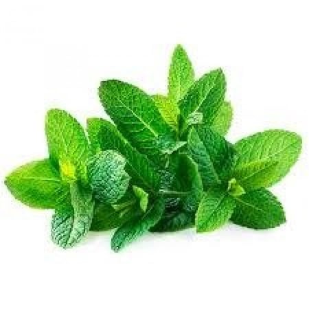 نعناع