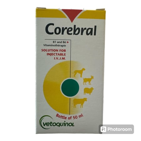 كوريبرال 50 مل Corebral