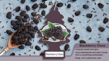 عطر سيارة للجو من ليتل تري رائحة التوت الأسود- 6 قطع Little Tree Air Freshener