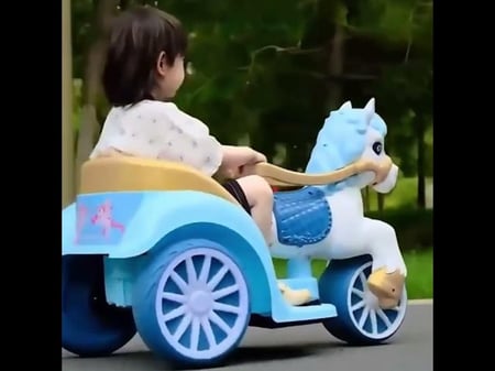 حصان الاميرات الكهربائي  >>  ( S )