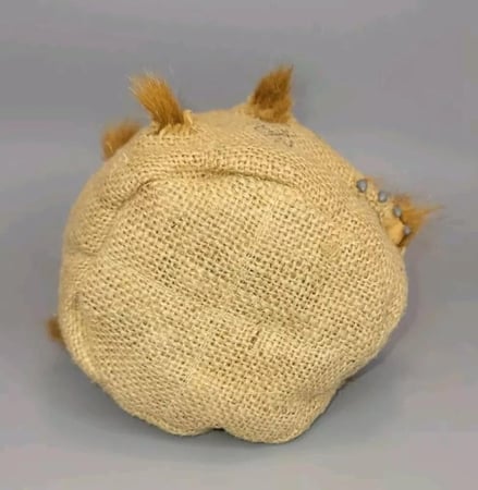 قطة في الكيس ..36 حبة ..