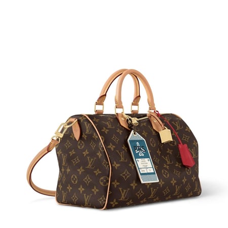 شنطة لويس فيتون Speedy Soft 30 Crafty