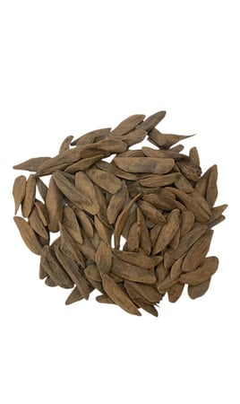 اشتر العود المروكي الفاخر عود مروكي كنج فاخر من بوح الطيب