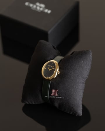 ساعة نسائية ماركة كوتش - Oval Olive Green Strap