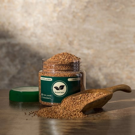 رشاد بهارات حلبه حمل نفاس دورة