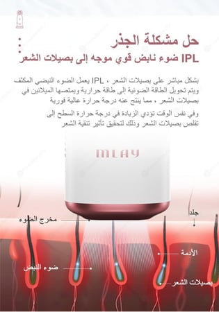 ملاي T10, الاصدار الحديث