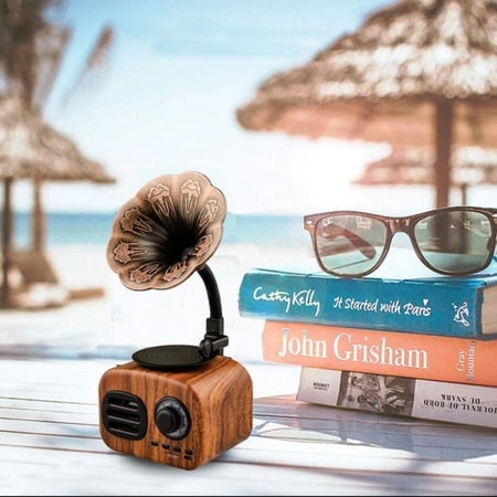 مكبر صوت ستيريو حجم صغير بشكل جرامافون ، يدعم الراديو وأيضا يدعم البلوتوث و AUX، قابل للشحن والنقل اللون البني