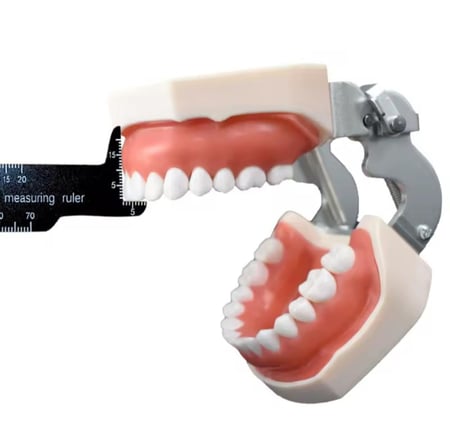 Dental Measuring Ruler