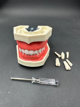 طقم الأسنان