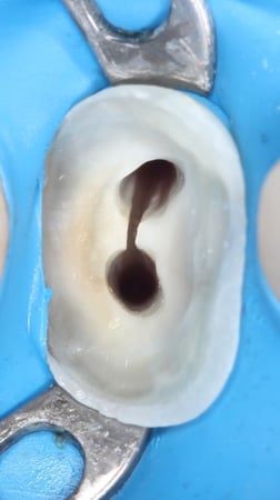 عدسة ماكرو 105mm SIGMA