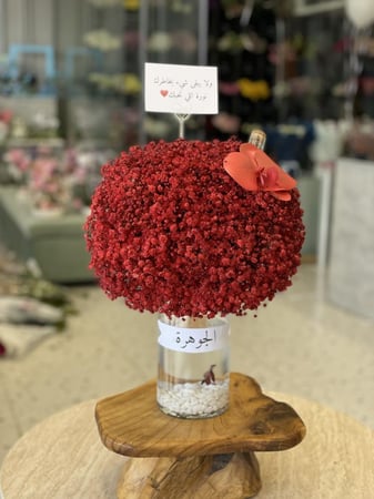 فازة جبسو فيليا مع سمكة فايتر