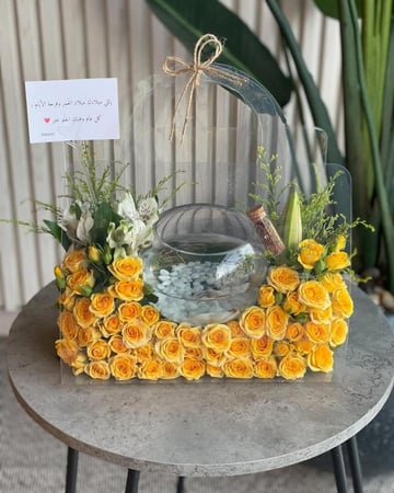 تنسيق حوض سمكة الفايتر